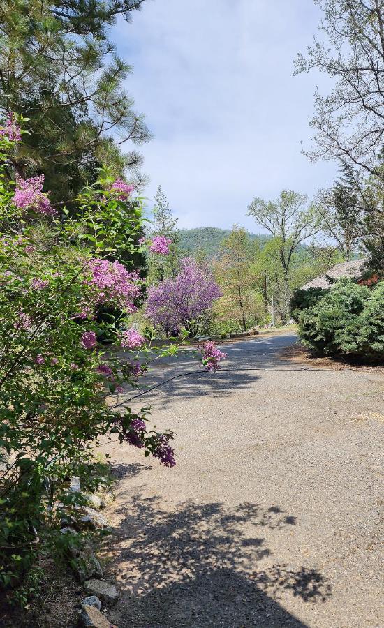 Yosemite Mountain Retreat Vila Oakhurst Exterior foto